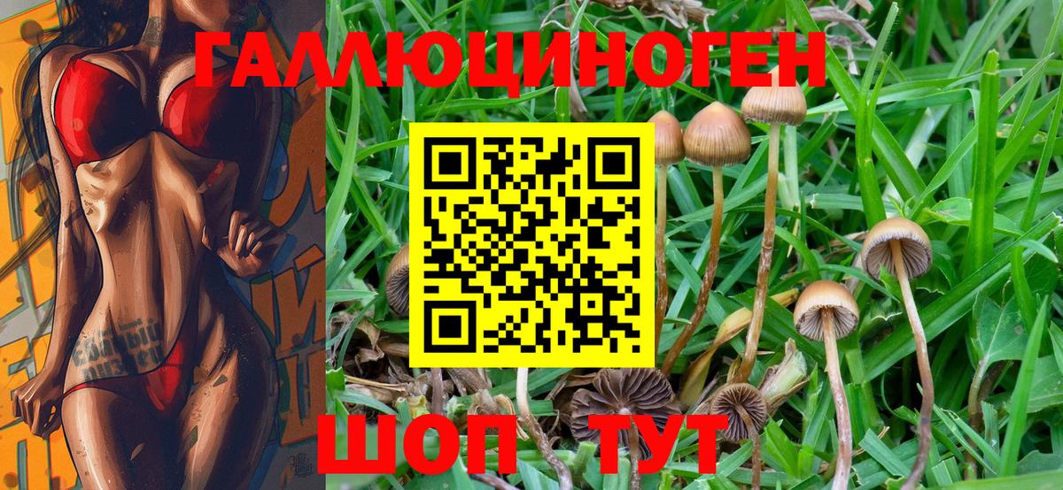 Псилоцибиновые грибы мухоморы  Вход с VPN  Балтийск 