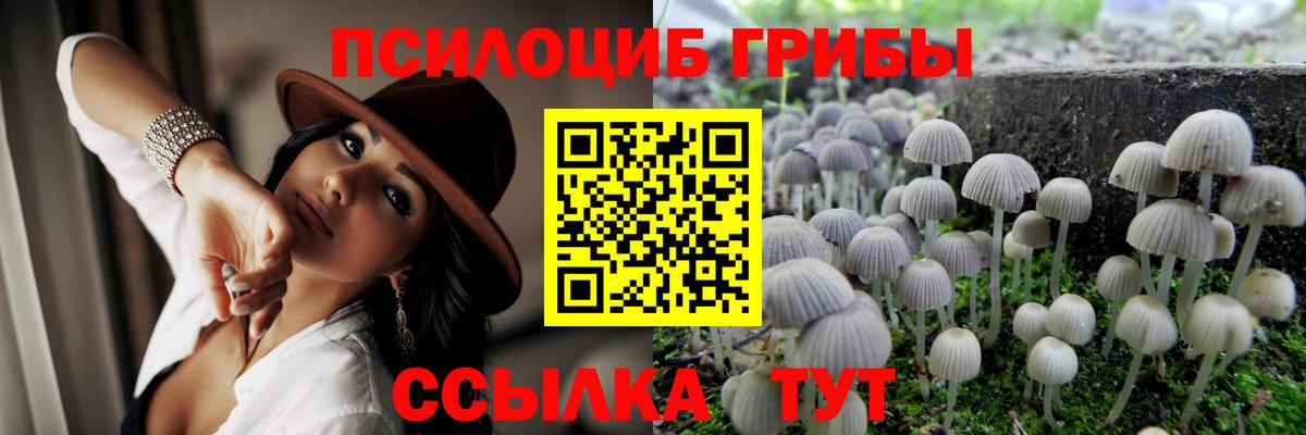 Псилоцибиновые грибы прущие грибы Балтийск
