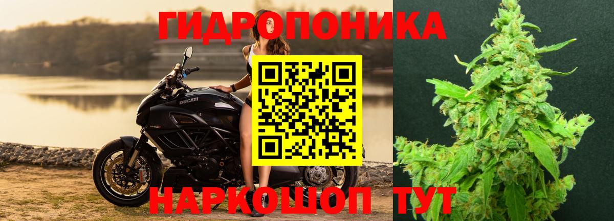 Шишки марихуана Bruce Banner Балтийск